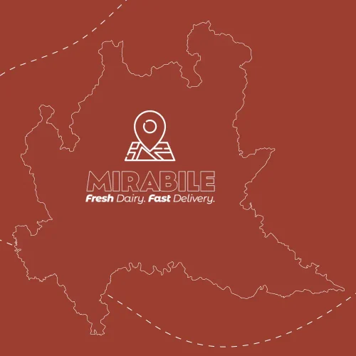 DELIVERY MIRABILE