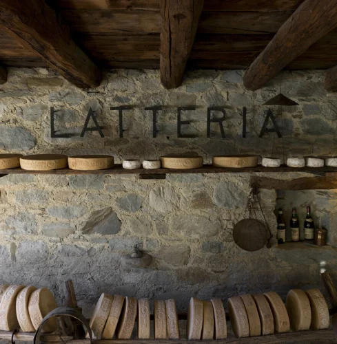 home punto vendita