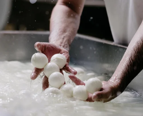 mozzarella barlotti mirabile milano